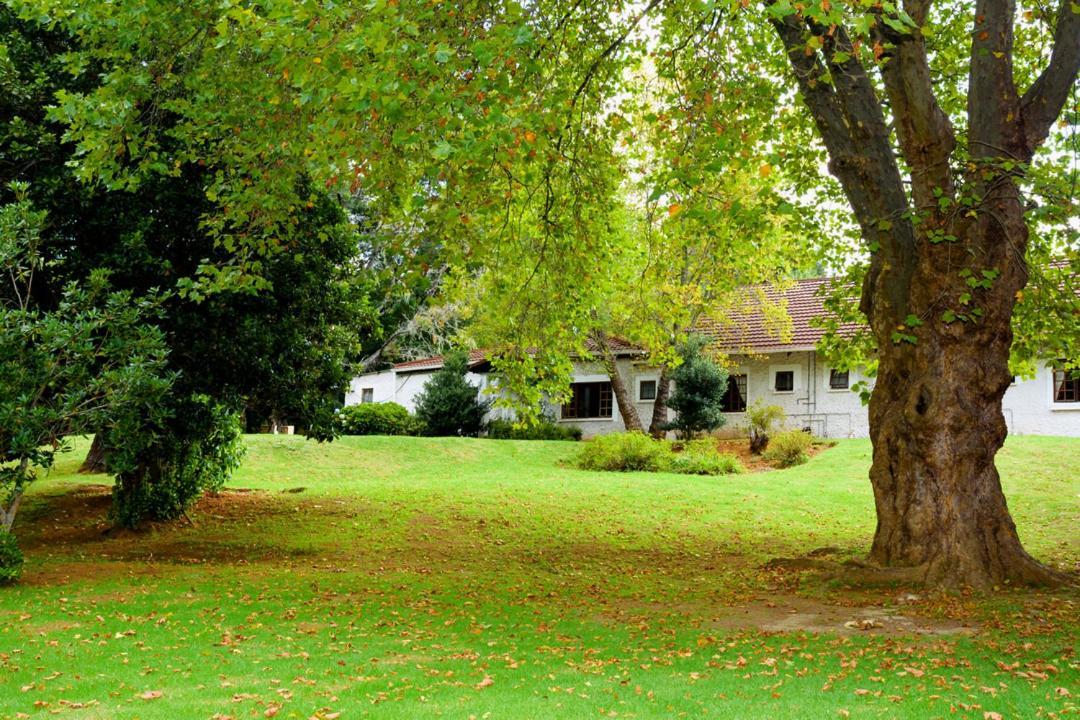 Kings Lodge Hotel Hogsback Exterior photo