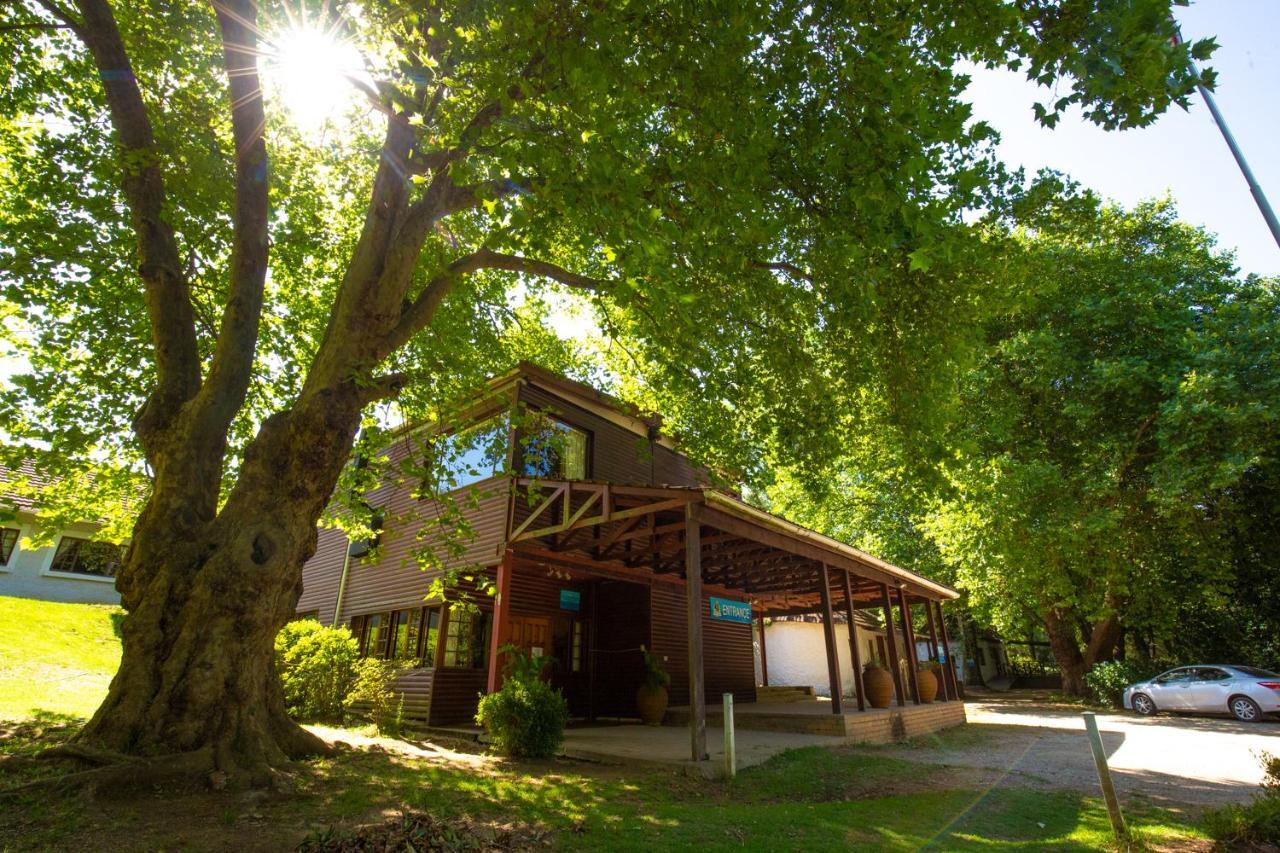 Kings Lodge Hotel Hogsback Exterior photo