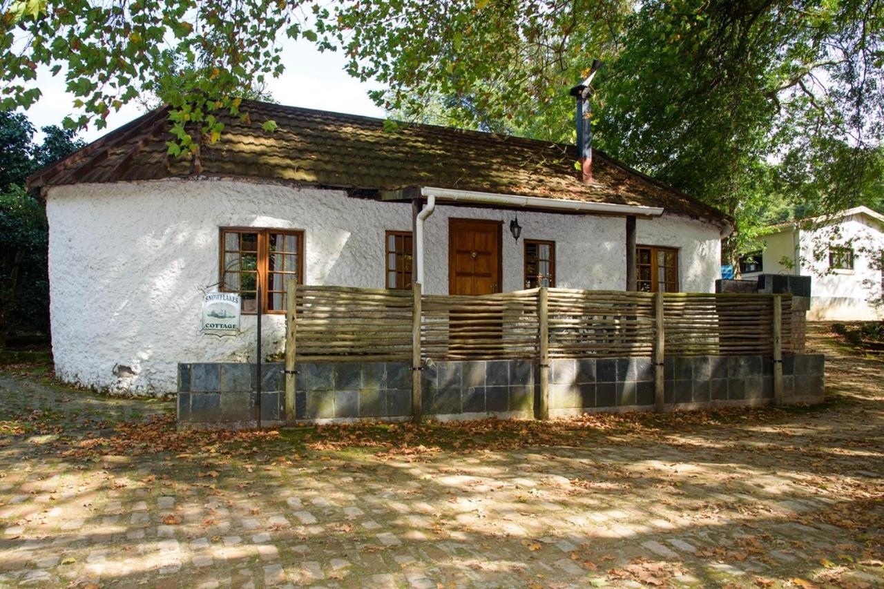Kings Lodge Hotel Hogsback Exterior photo